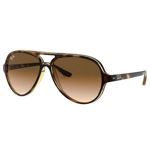 Ray-Ban Tortoise Aviator Sunglasses